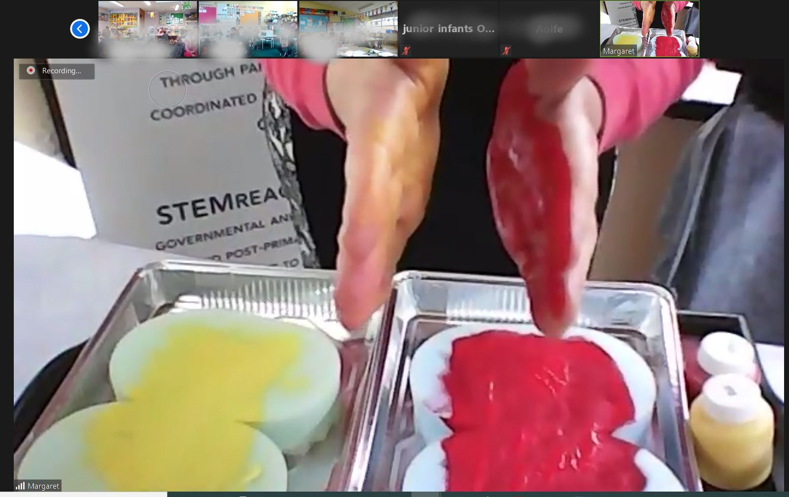 STEMKilkenny Colour workshop copy 2